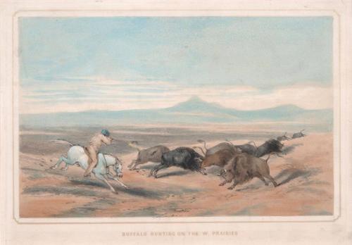 Buffalo Hunting on the Prairies