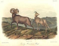 John James Audubon
