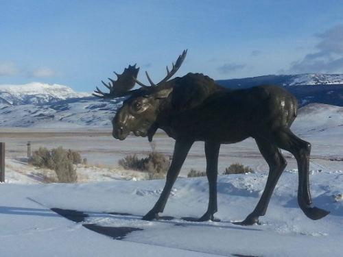 Moose Flats