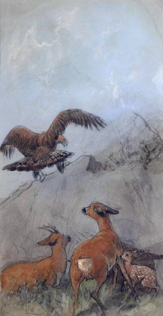 Golden Eagle and Roe Deer