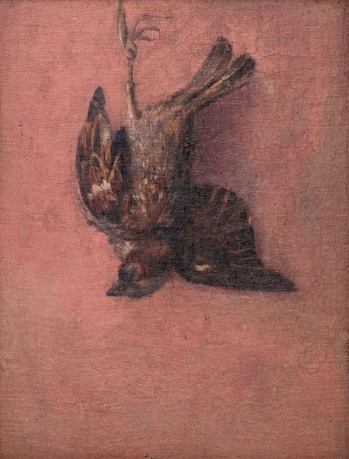 Bird Still Life I