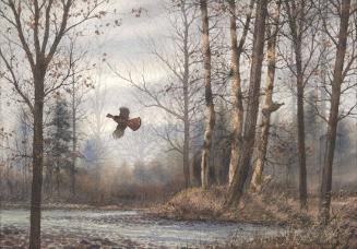 Ruffled Grouse