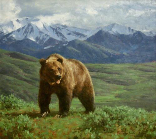 Toklat Grizzly