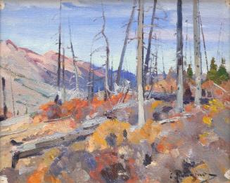 Landscape Sketch (Clearwater River, Banff National Park, Canada)