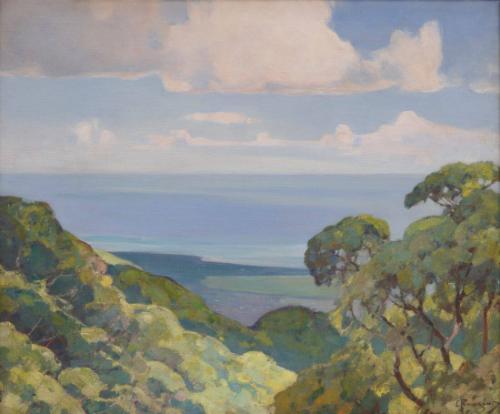 Hawaiian Seascape