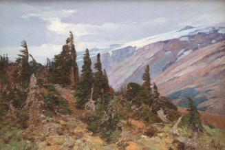 Mountain Landscape  (Pine Tree Cluster) Canada