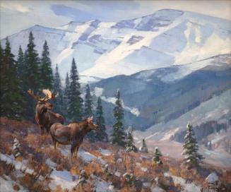 First Snow