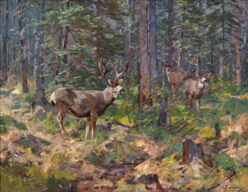 Buck and Doe in the Woods