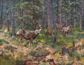 Buck and Doe in the Woods