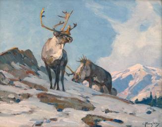 North of Jasper
