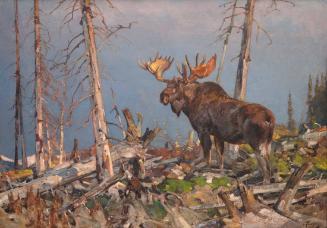 Northern King