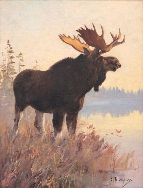 Sportsmen's Moose