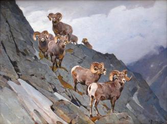 Carl Rungius
