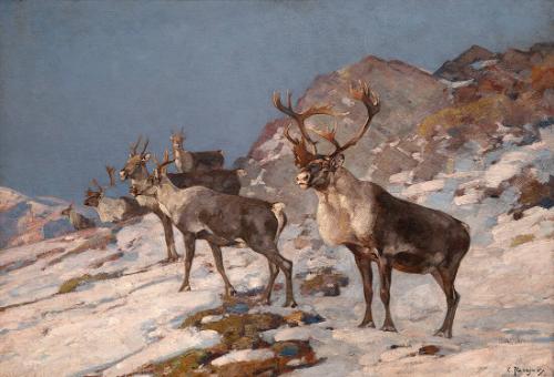 Caribou in the Mountains (Osborne's Caribou)
