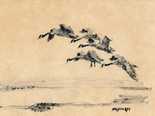 Flying Geese