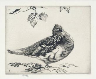 Watchful Grouse