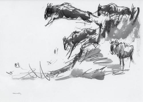 Wildebeest Leaping into the Mara