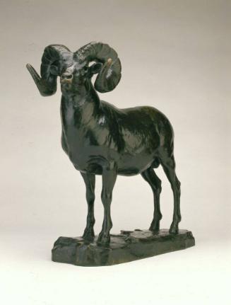 The Mountain Ram