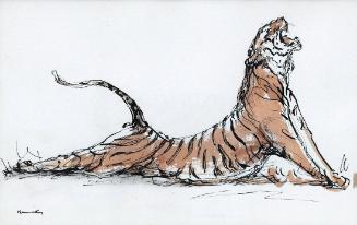 Tiger Stretching