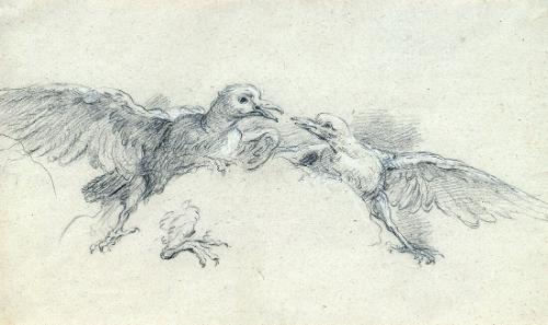Study of Two Birds