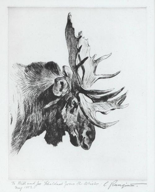 Old Bull