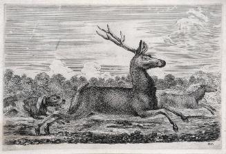 Caccia al cervo (Stag Hunt)