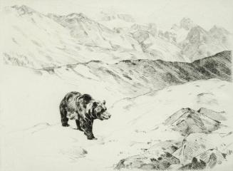 An Old Prospector