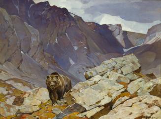 Old Baldface