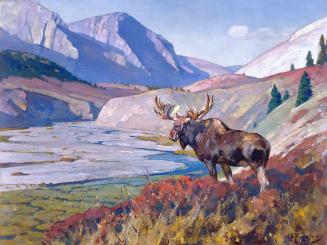 Moose in Mountain Landscape