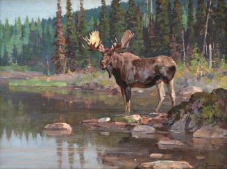 On the Renous River (Miramichi, N.B.)