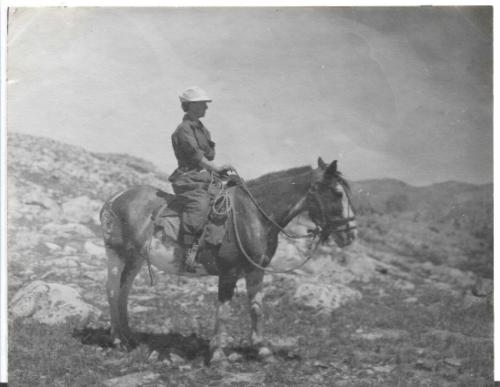 Untitled woman on horseback