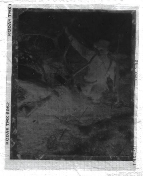 Untitled-negative of Carl Rungius holding a gun with a dead elk.