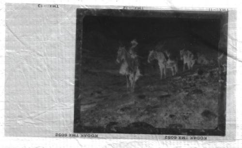 Untitled-B&W negative