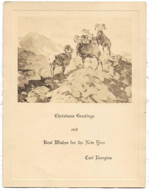 Christmas Card - Big horn sheep