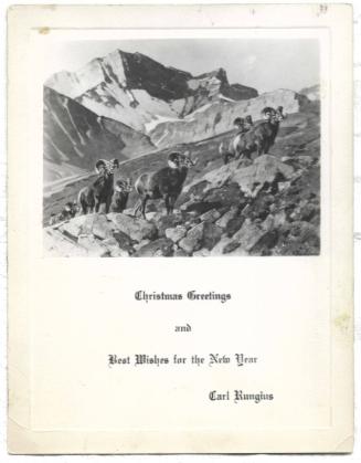 Christmas Card - Rocky Mountain Sheep