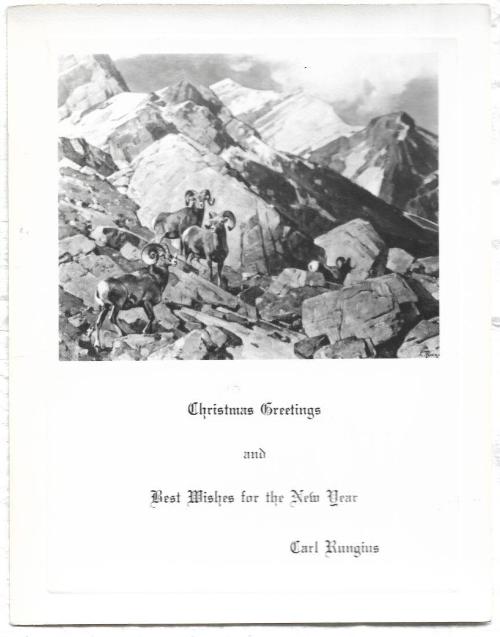 Christmas Card - Rocky Mountain Sheep