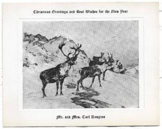 Christmas Card-Osborne's Caribou