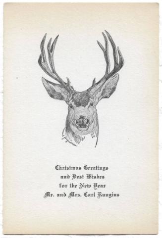 Christmas Card-Buck mule deer