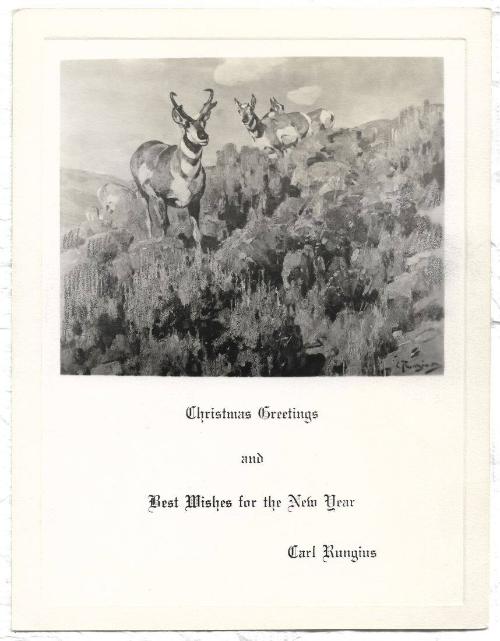 Christmas Card-Antelopes in sage