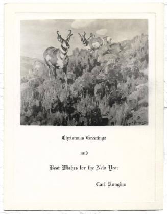 Christmas Card-Antelopes in sage