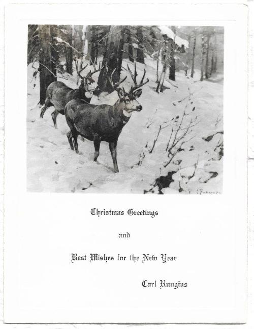 Christmas Card-After Two mule deer bucks
