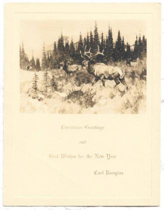 Christmas Card-Bull elk and several cows