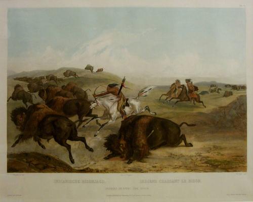 Indians Hunting the Bison