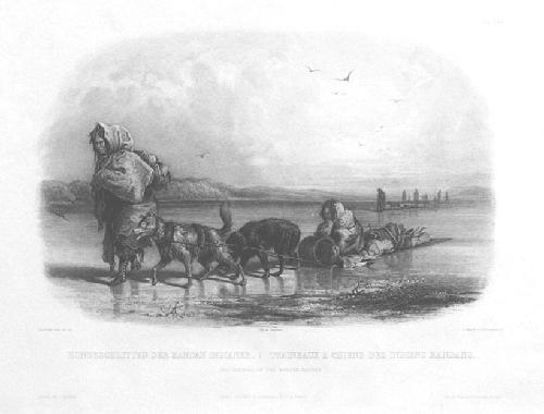 Dog Sledges of the Mandan Indians