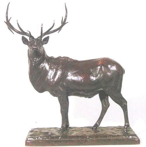 Wapiti Bull