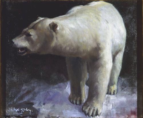 Polar Bear