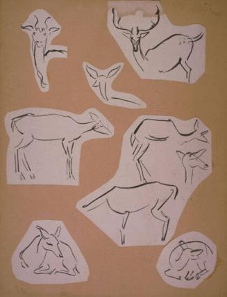 Deer Sketches