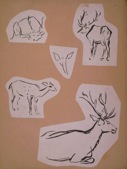 Deer Sketches