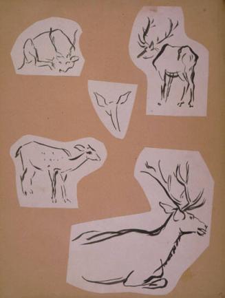 Deer Sketches