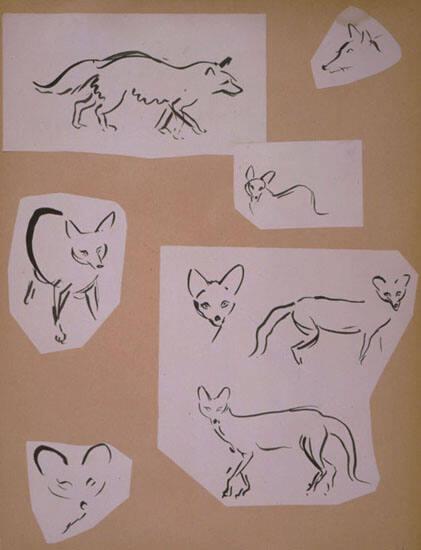 Fox Sketches